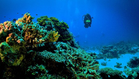 Dahab
